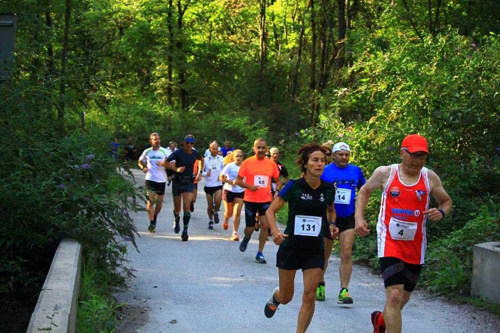Courses de la rosière - image