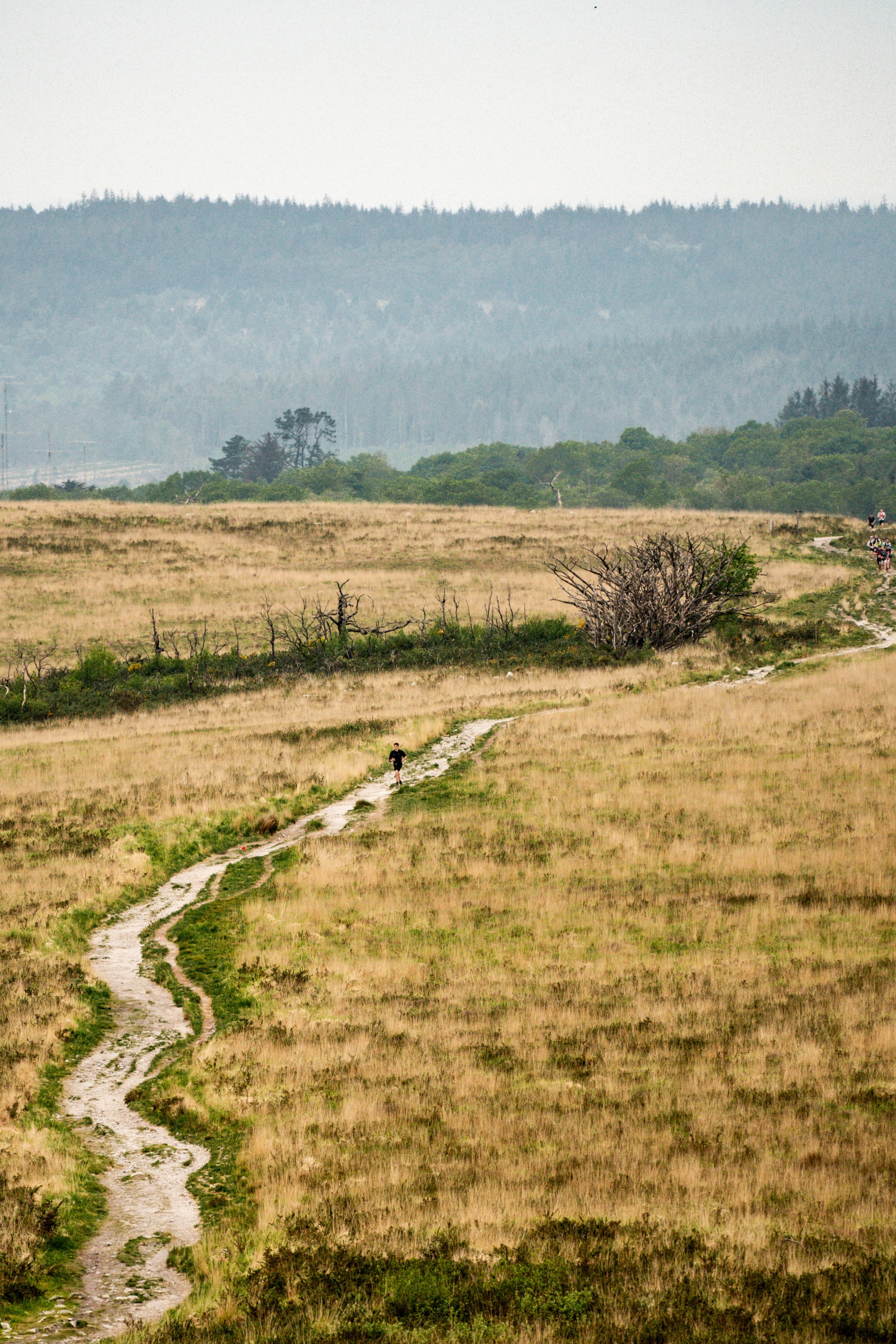 UTMA - Ultra trail des monts d'arrée - image 3