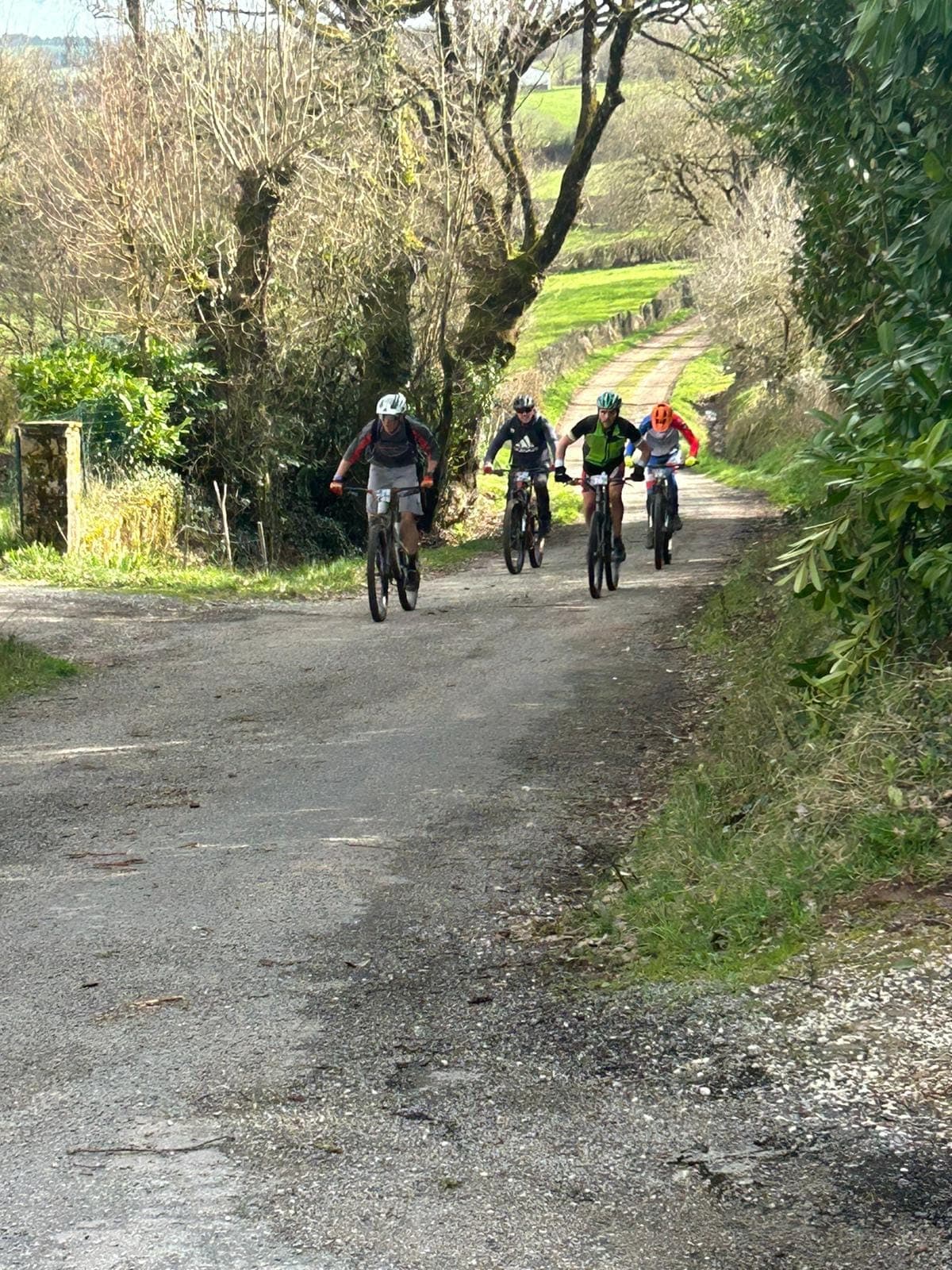 Trail des prés verts - image