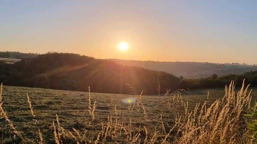 Trail des prés verts - image