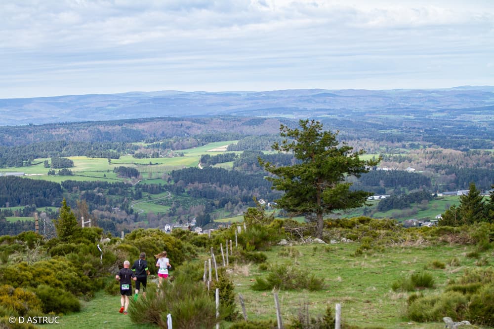 Randon trail - image