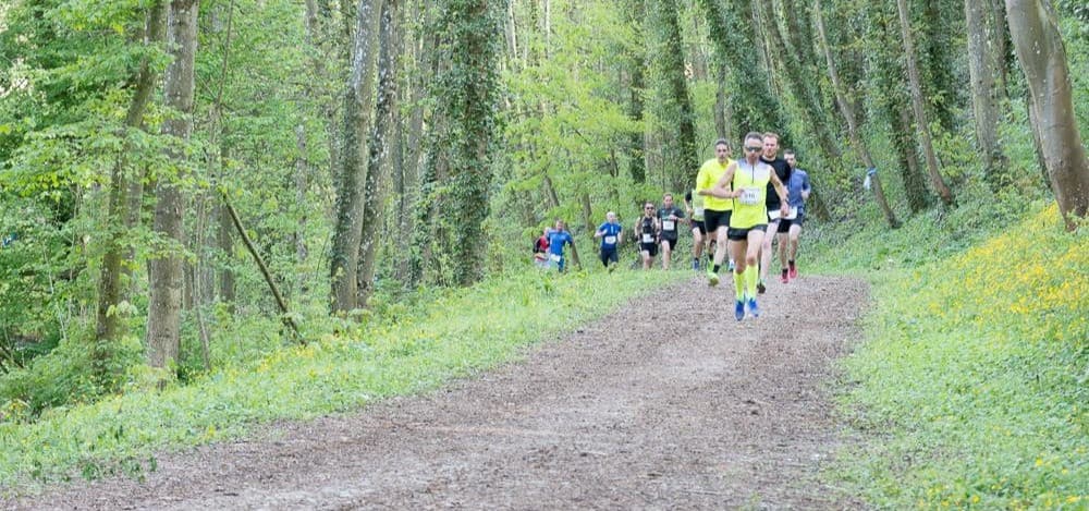Trail du saintois - image