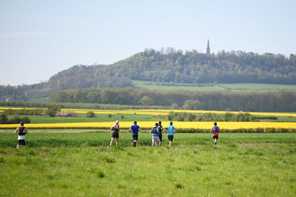 Trail du saintois - image