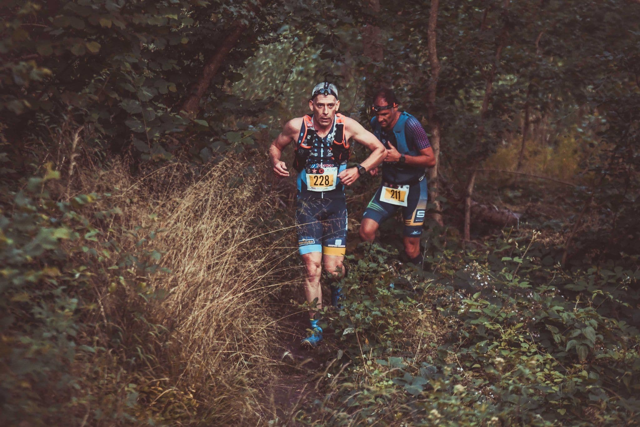 Trail du Grand Est - image