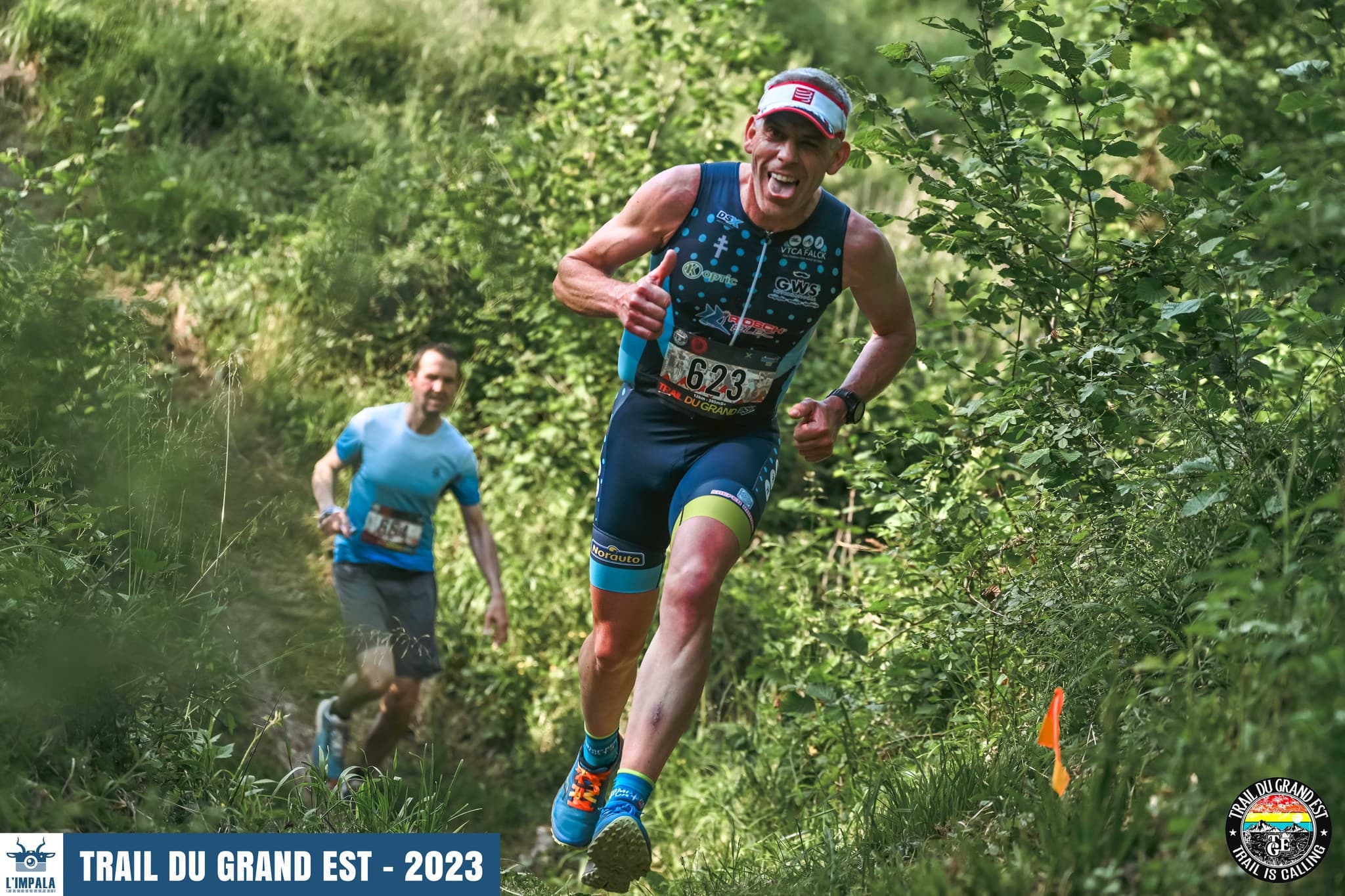 Trail du Grand Est - image