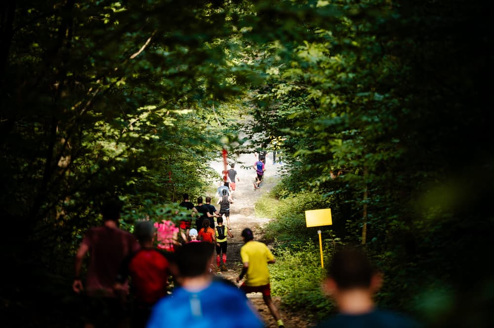 Trail du muguet - image