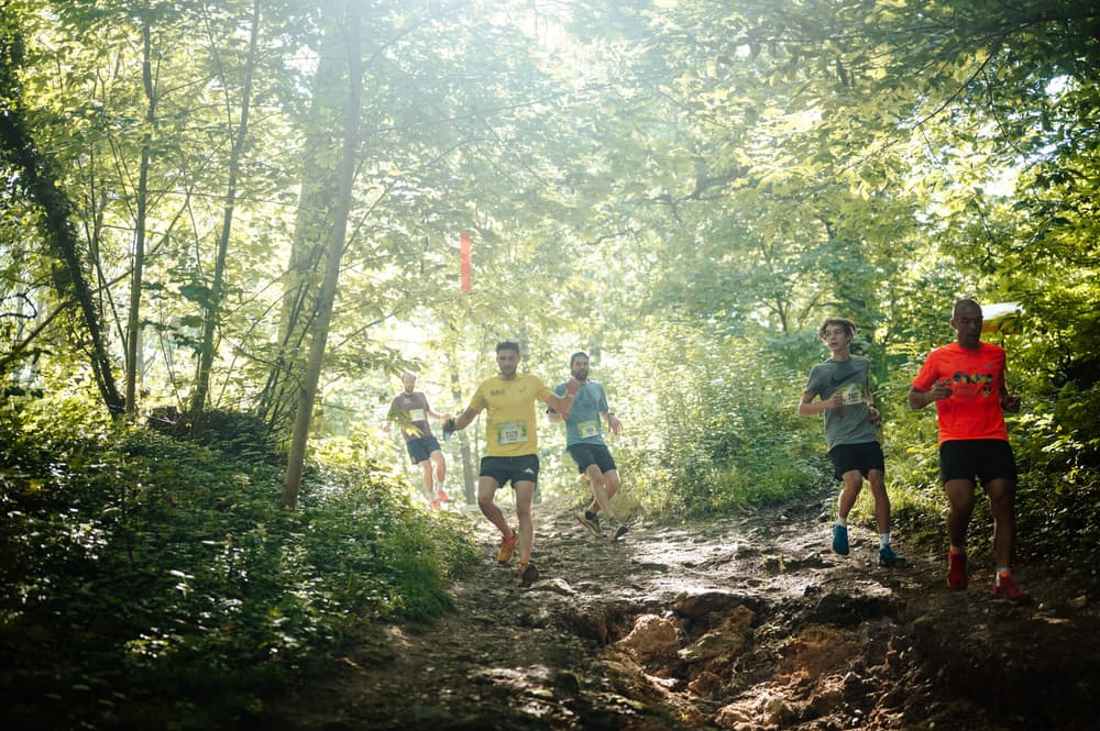 Trail du muguet - image