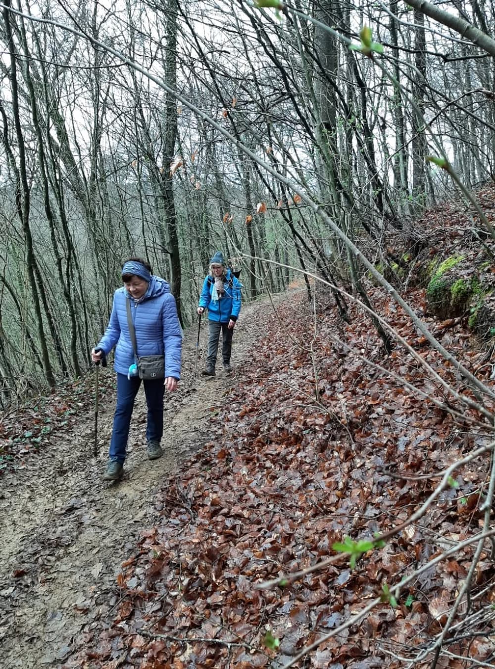 Trail urbain Daniel Feite - image
