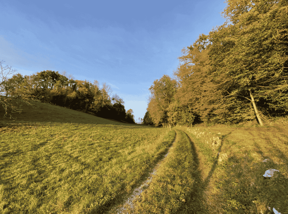 Trail du Mont Grêle - image