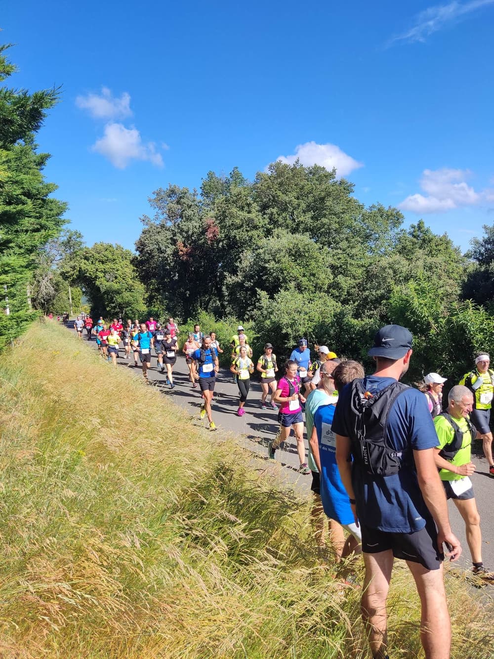 Trail des nounours - image