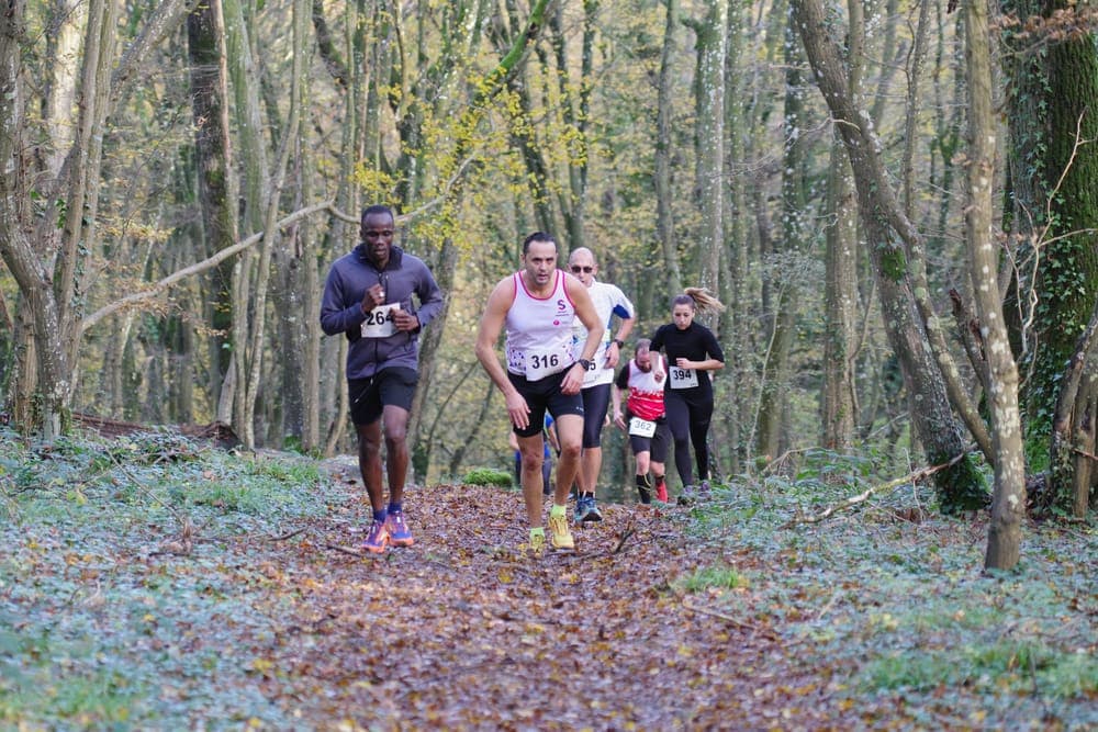 Trail Malassis tour - image