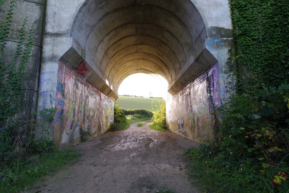 Trail Malassis tour - image