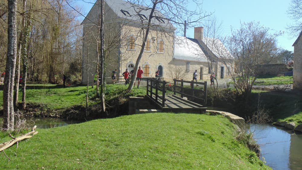 Les pieds dans l'Buru - image