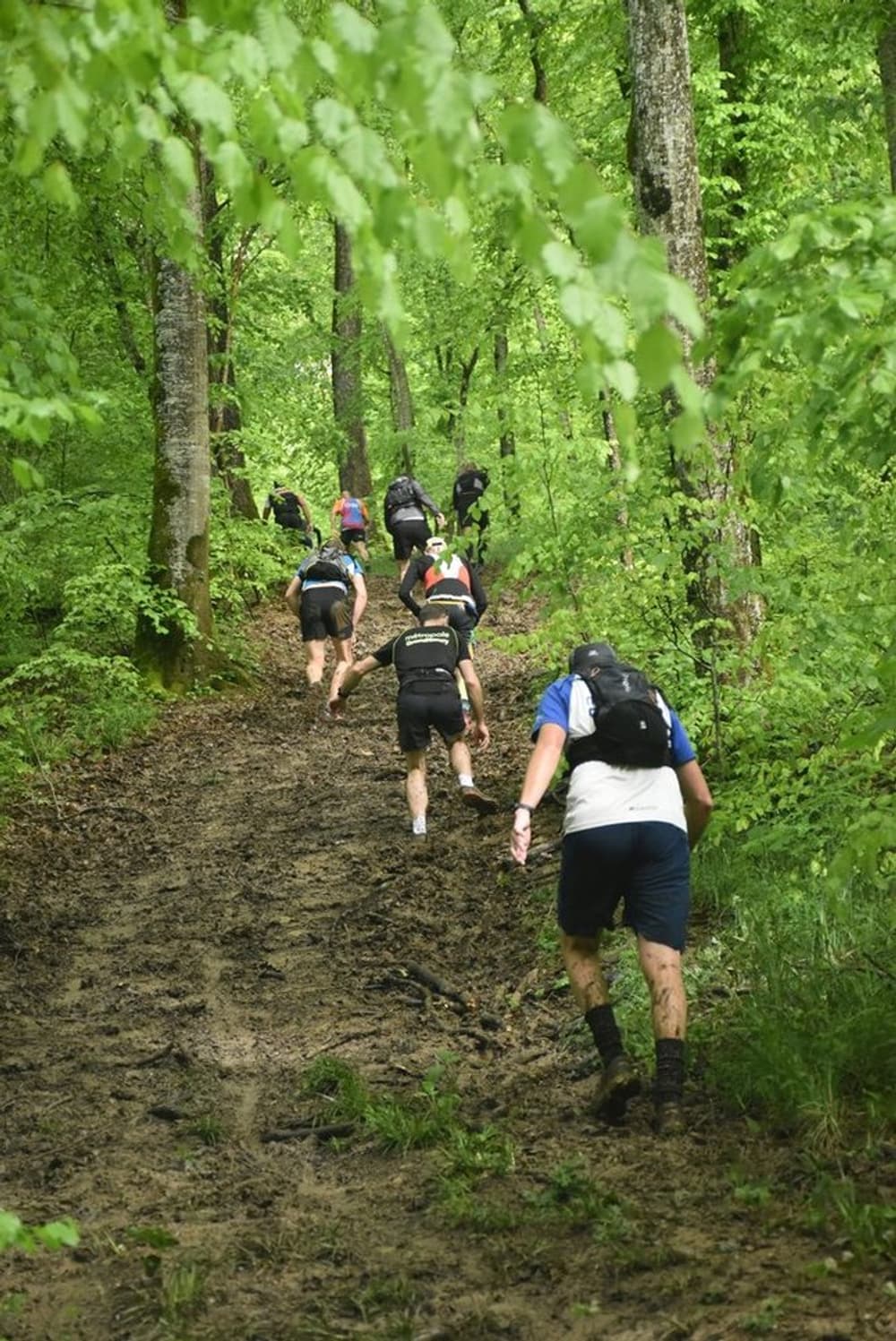 Trail coeur de meine - image