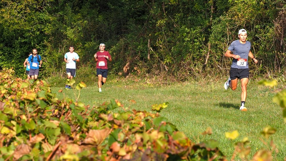 Trail de la noxe - image