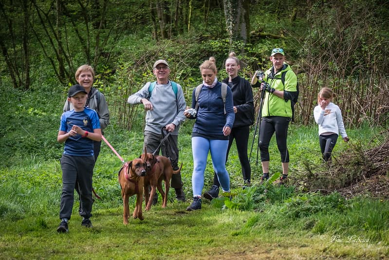 Trail des forges de buré d'orval - image