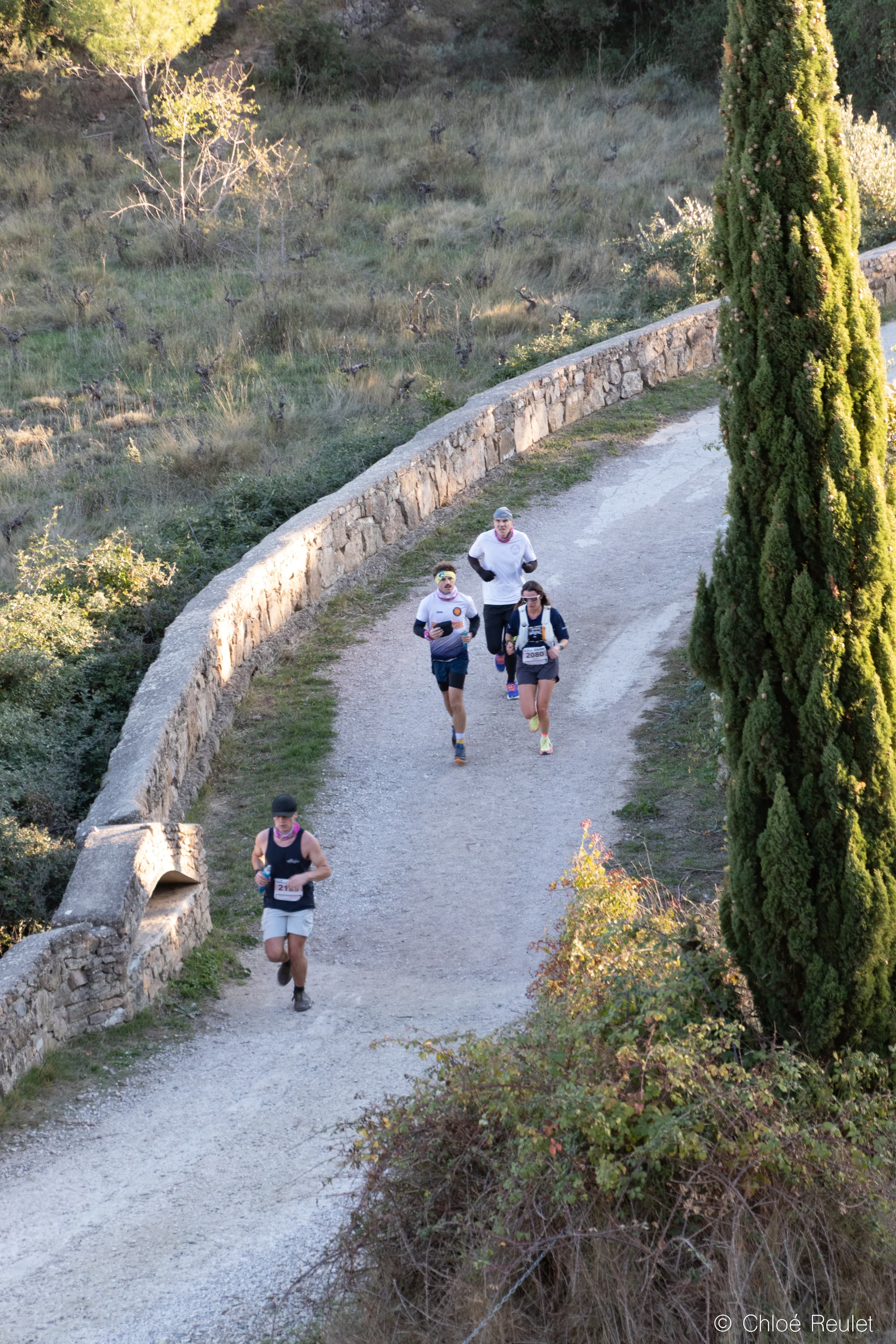 Trail de Nébian - image 4
