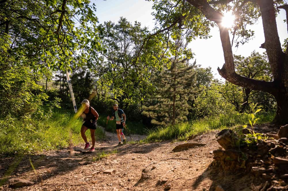 Les grimpettes à Josette - image