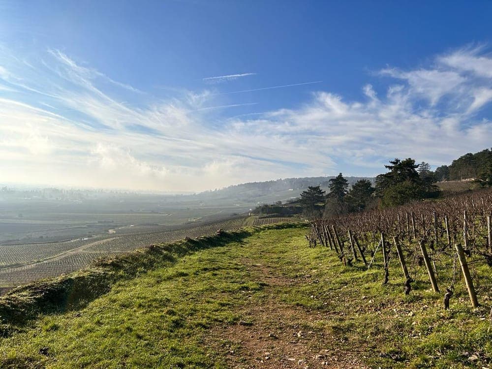 Rotary Trail de Beaune - image