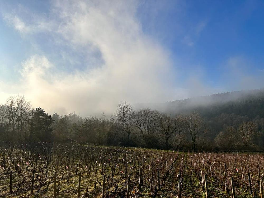 Rotary Trail de Beaune - image