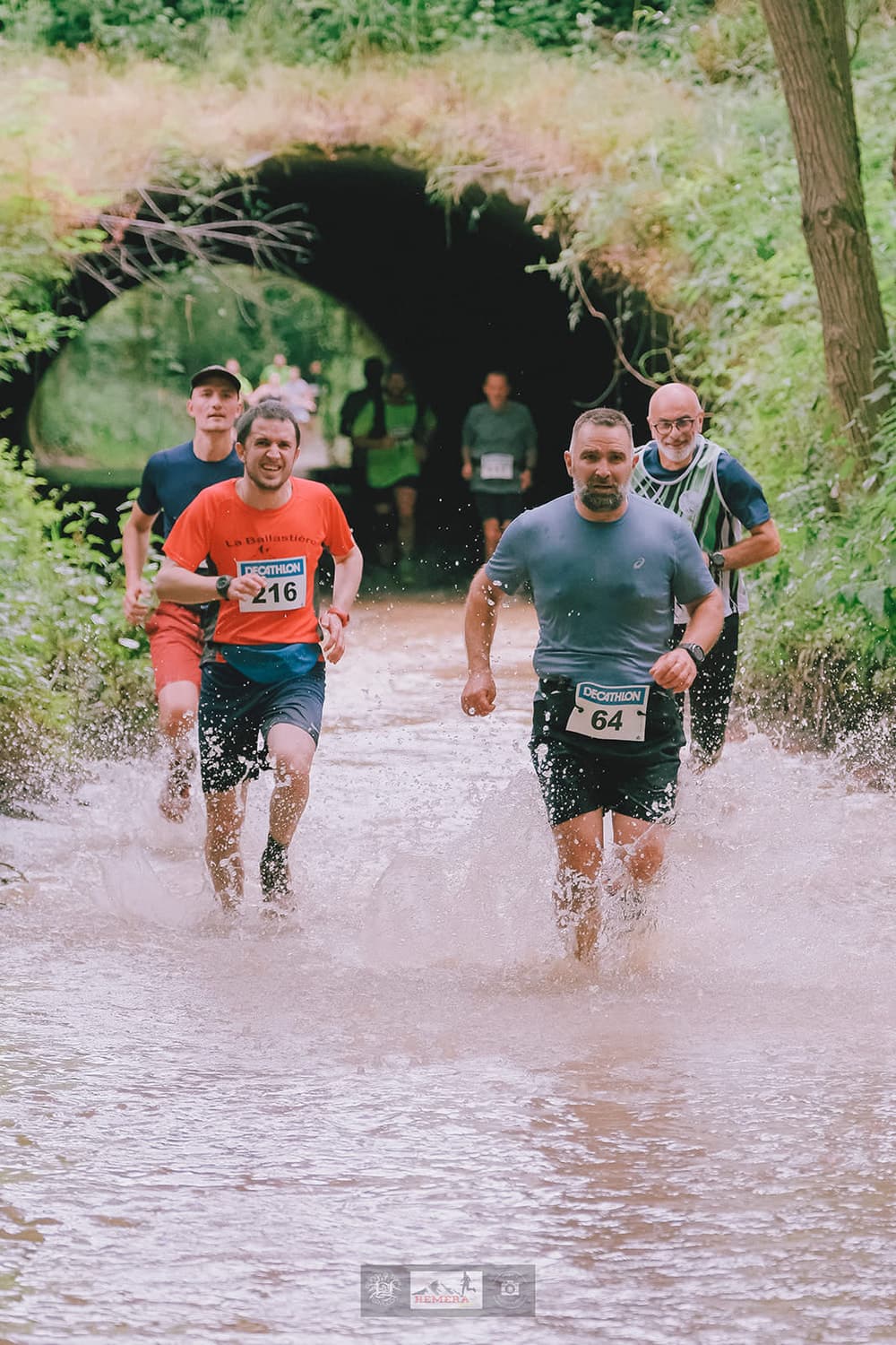 Hemera Terville Trail  - image