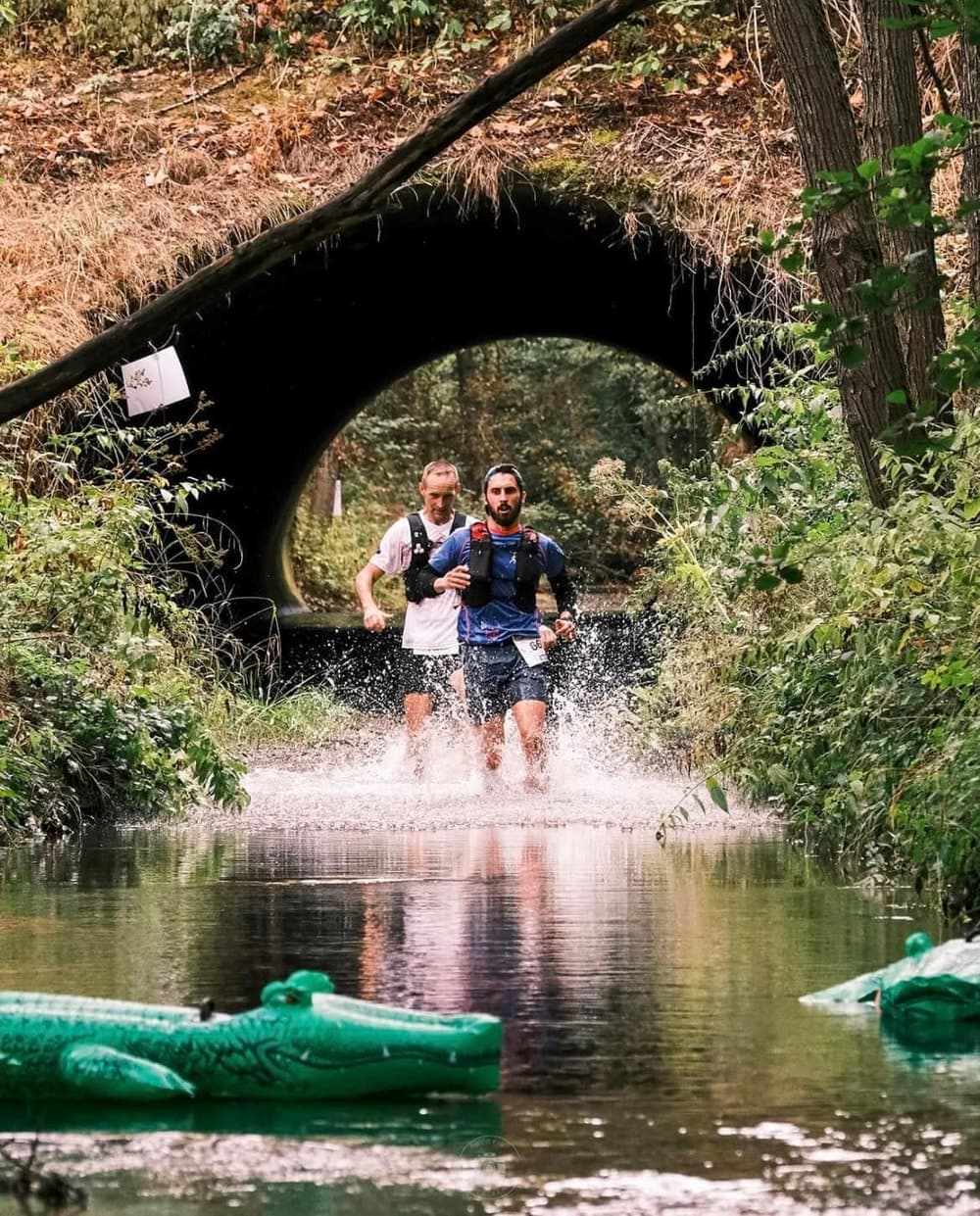 Hemera Terville Trail  - image