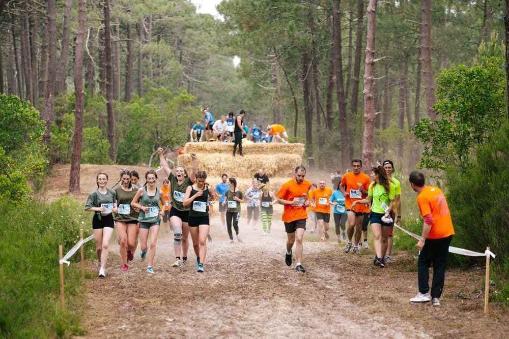 SoMAD Torcy - image