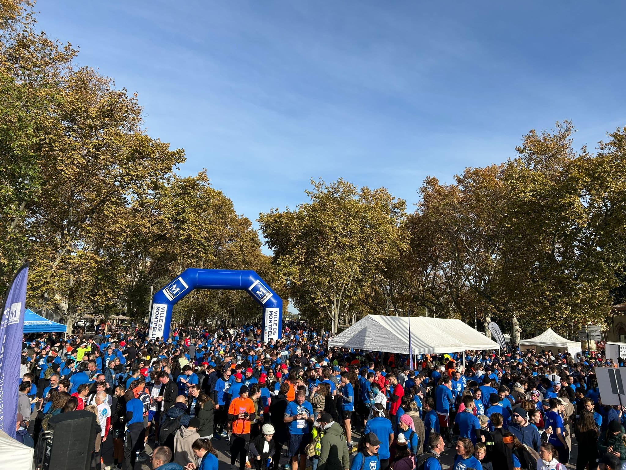 La Courstache Montpellier - image 3