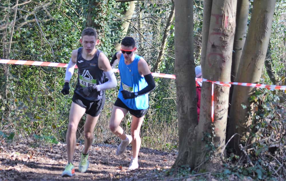 Relais x3 de l’hippodrome - image