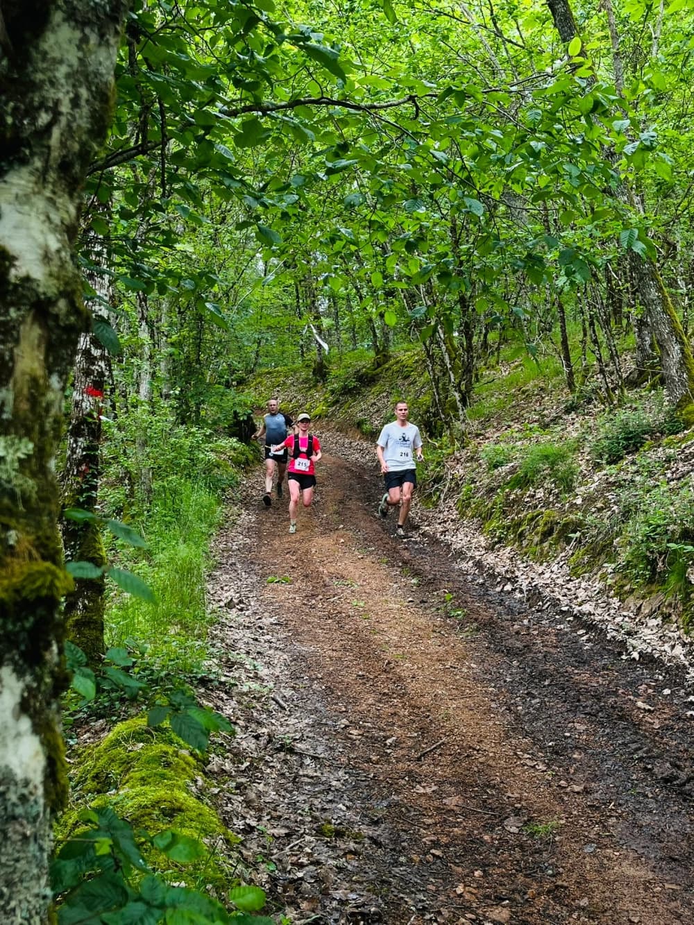 Trail des croix de rome - image
