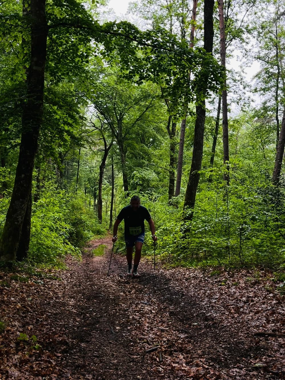 Trail des croix de rome - image