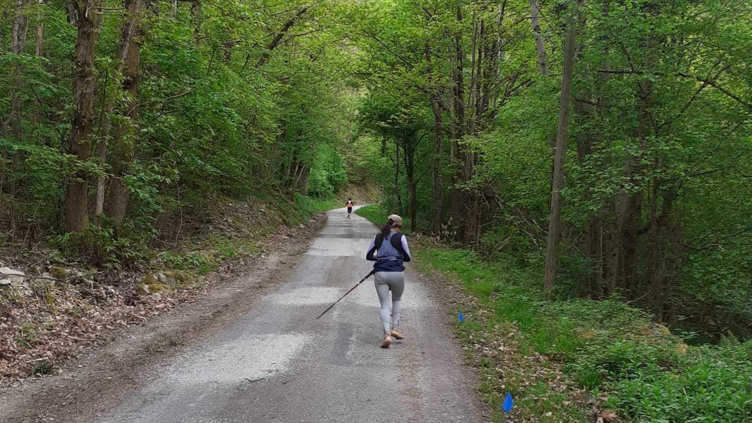 Remy trail - image