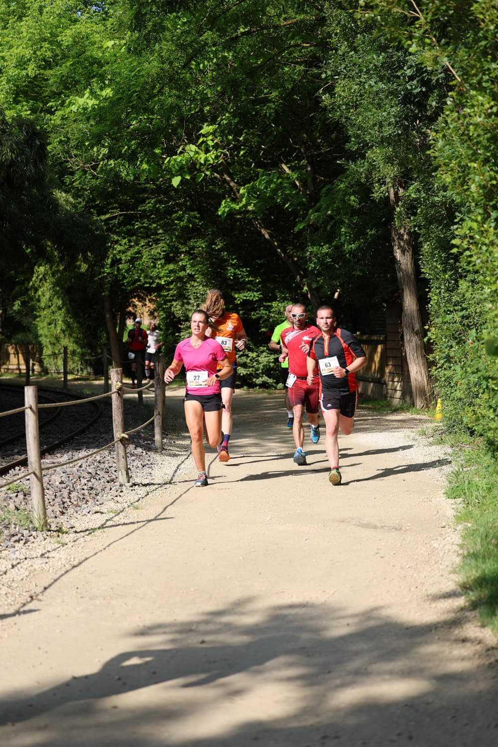 Trail du guépard - image 2