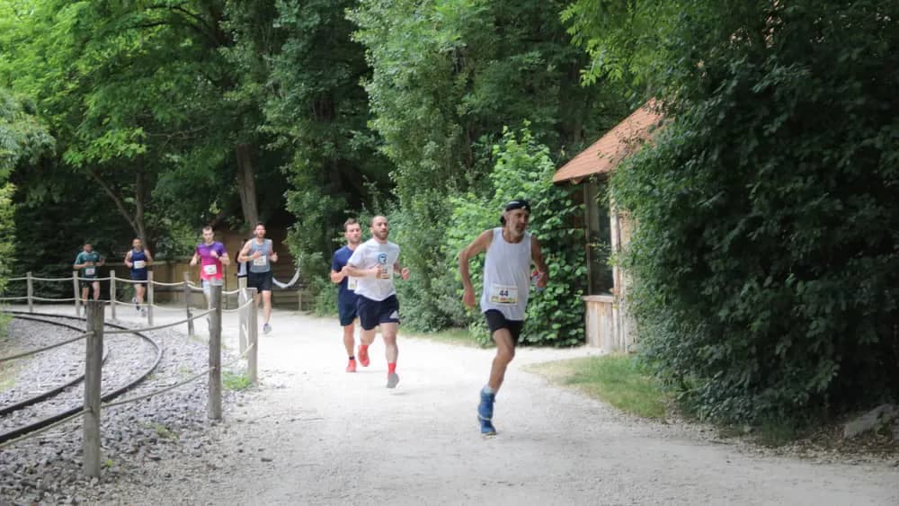 Trail du guépard - image