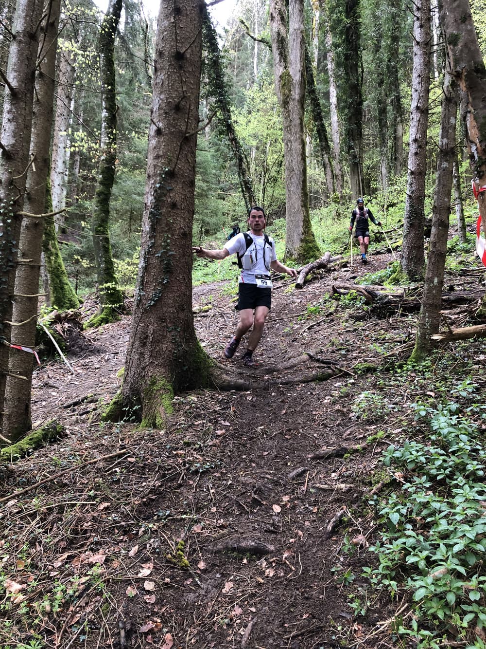 Trail de reyv - image