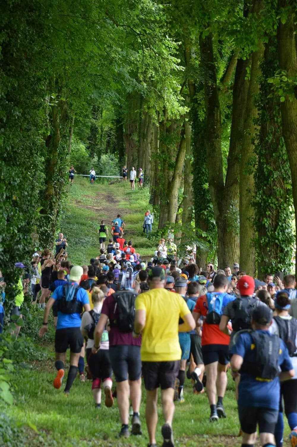 Trail des moines de l'abbaye de vaucelles - image