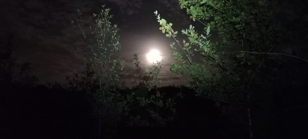 Trail de la vallée de la thure by night - image 3