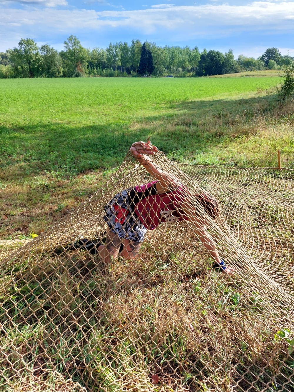 Marmule race - image