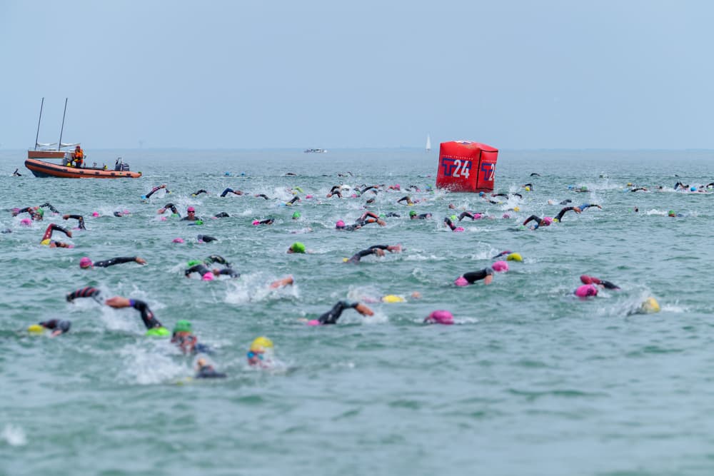 T24 Ile de Ré - image