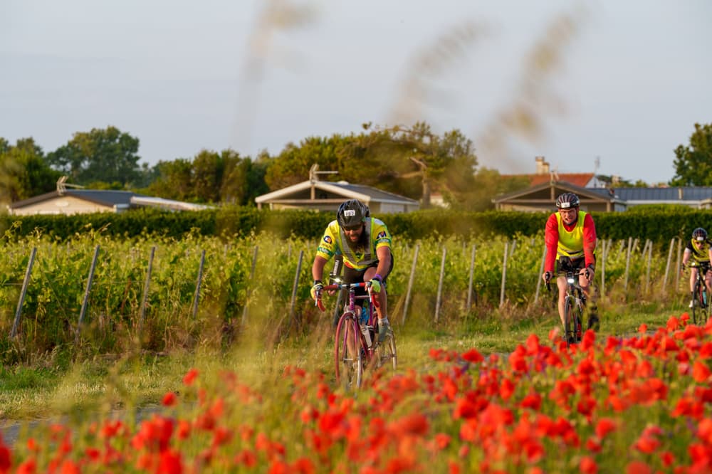 T24 Ile de Ré - image