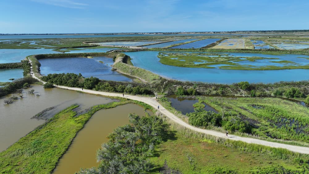 T24 Ile de Ré - image