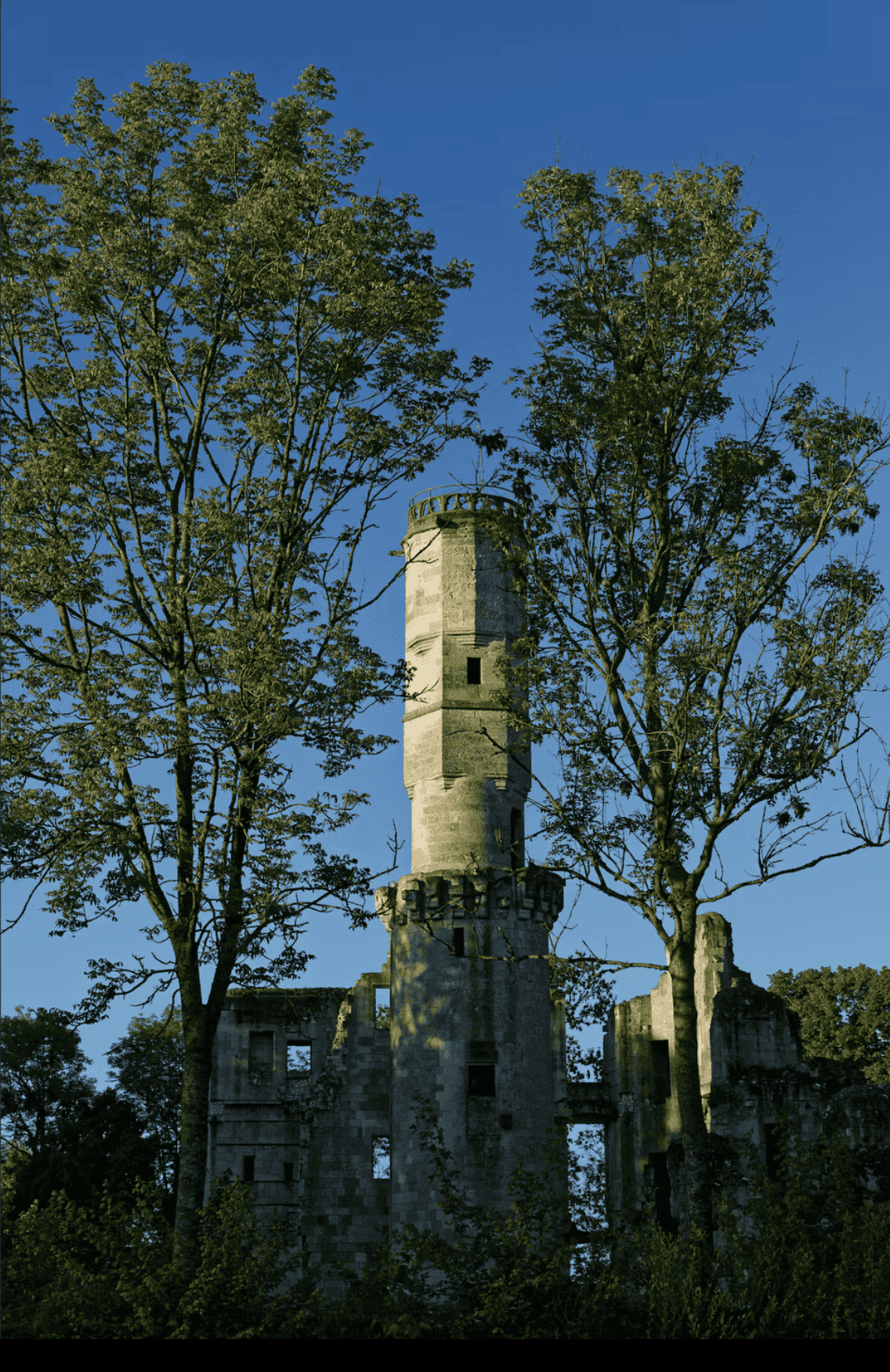 Le trail des gueux - image