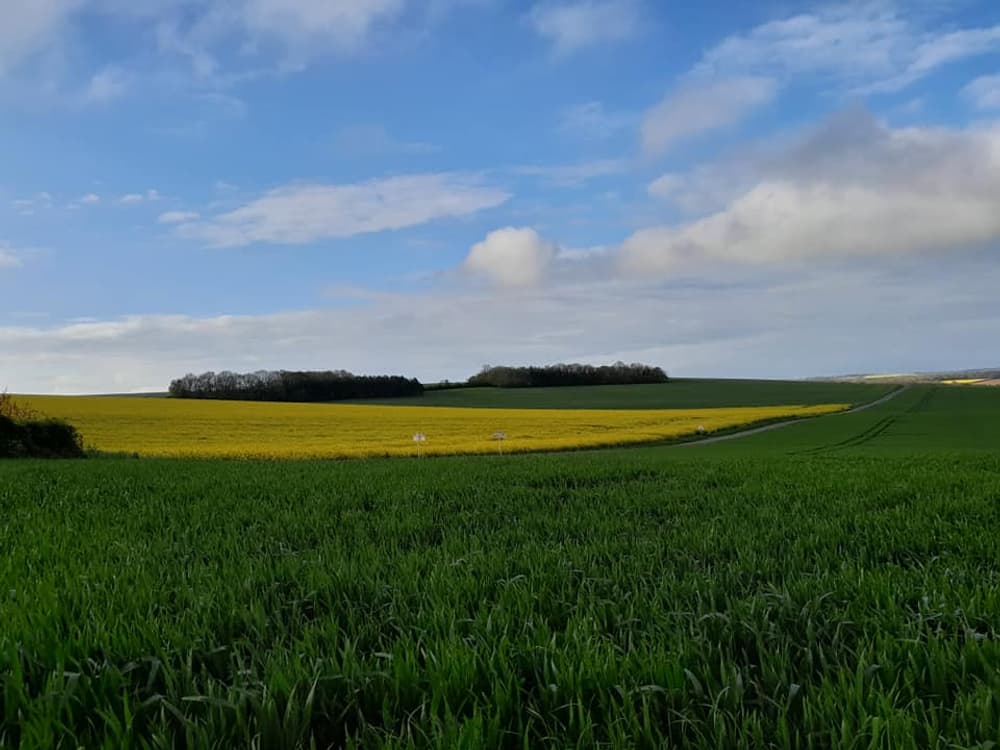 Le trail des gueux - image