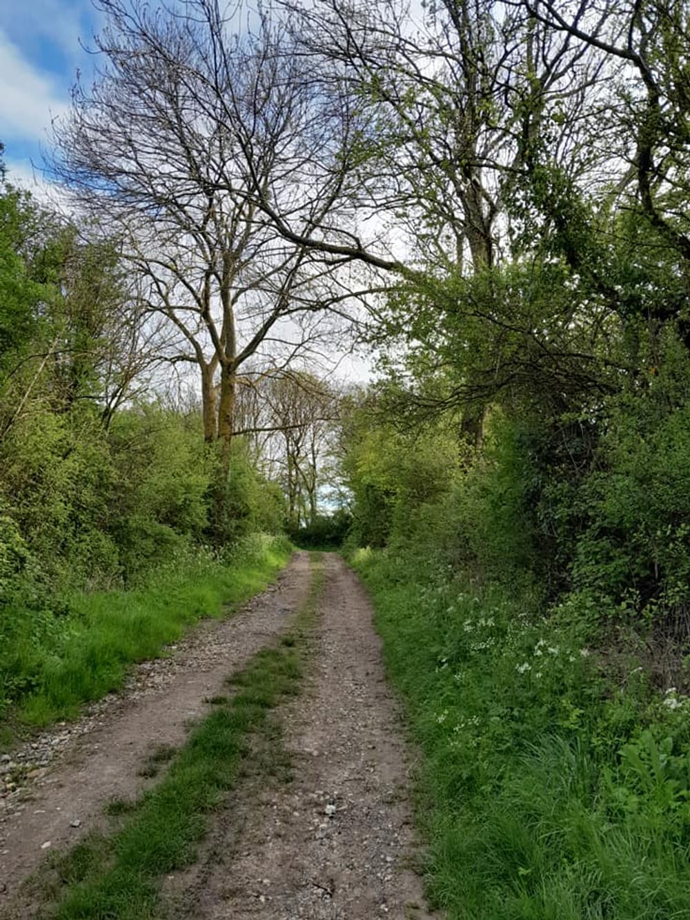 Le trail des gueux - image