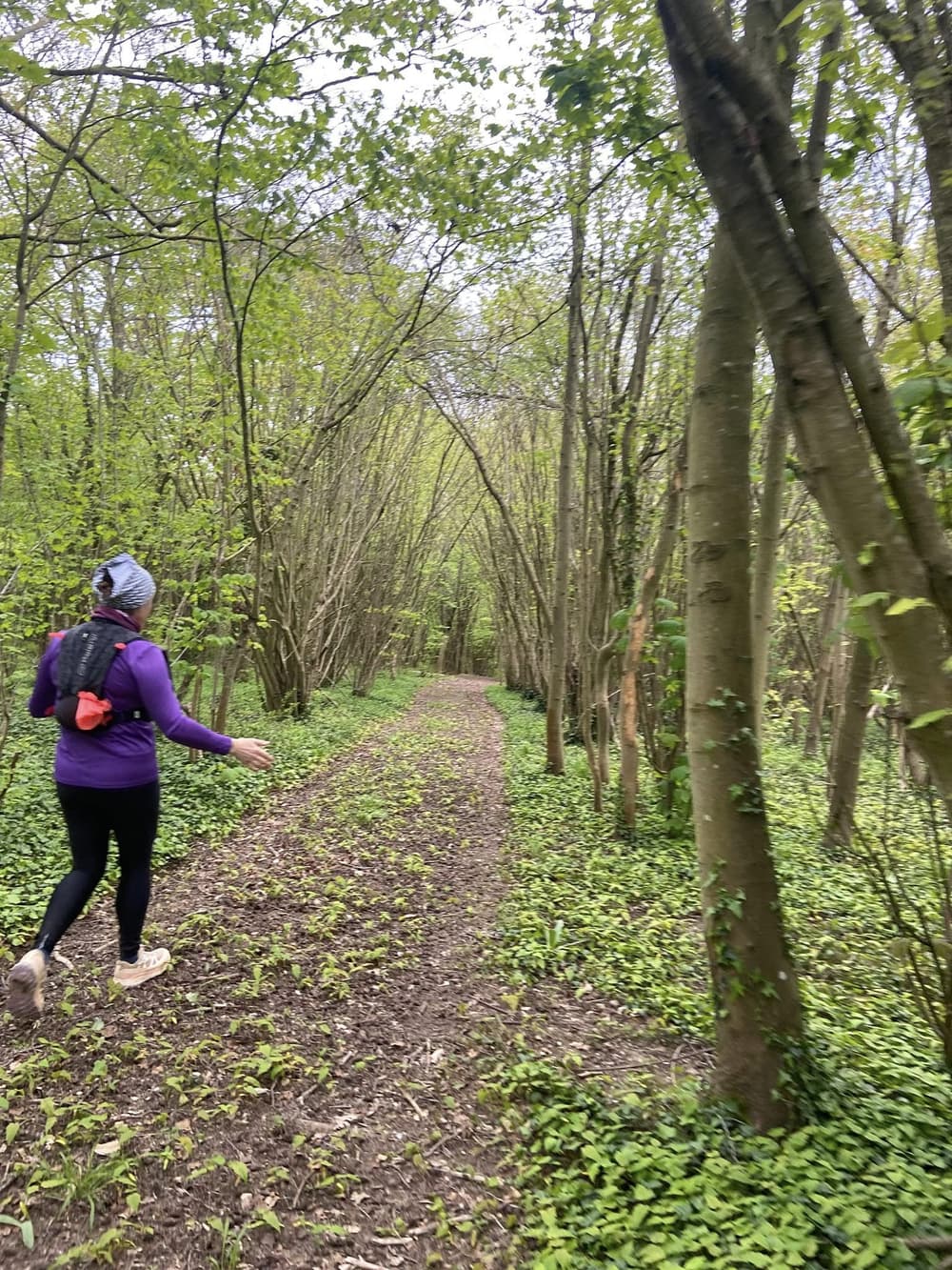 Le trail des gueux - image