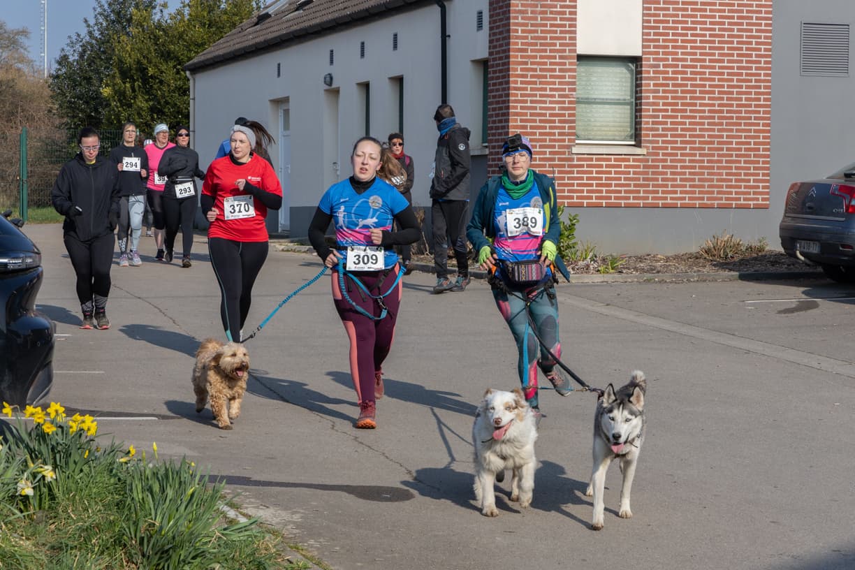 Les foulées de la Saint-Patrick - image