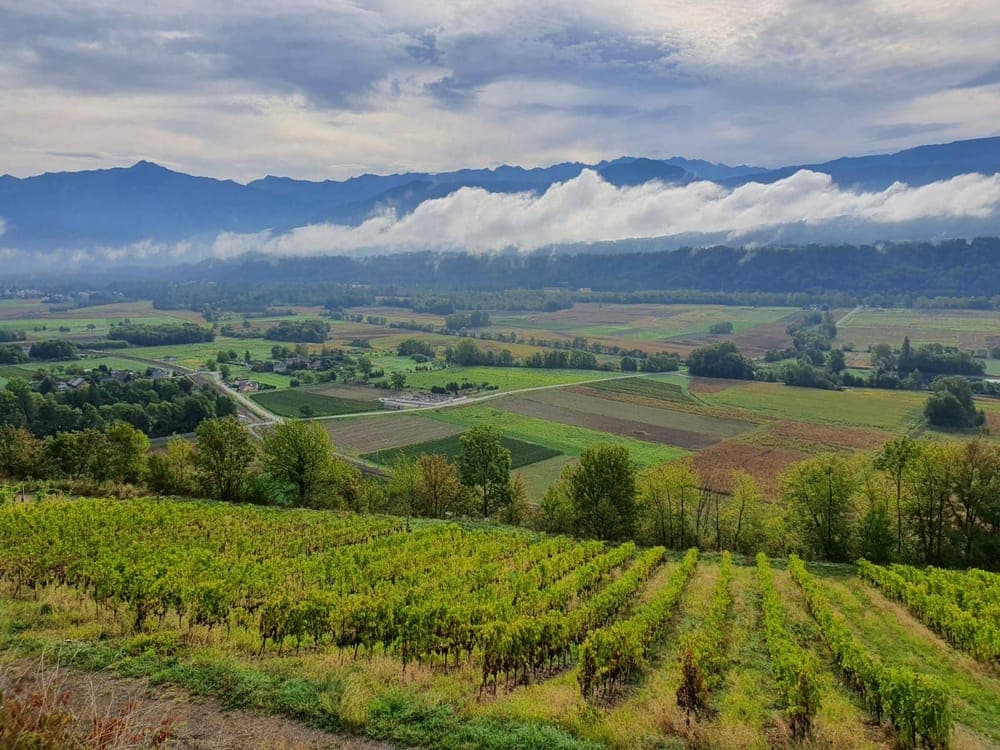 Trail La Cépienne - image