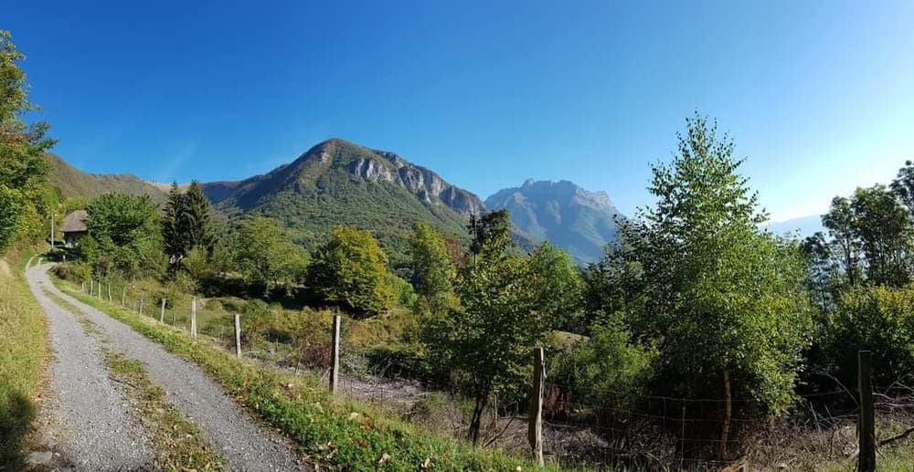 Trail La Cépienne - image