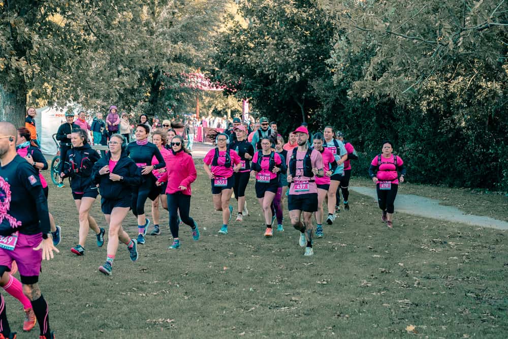 Le pink trail - image