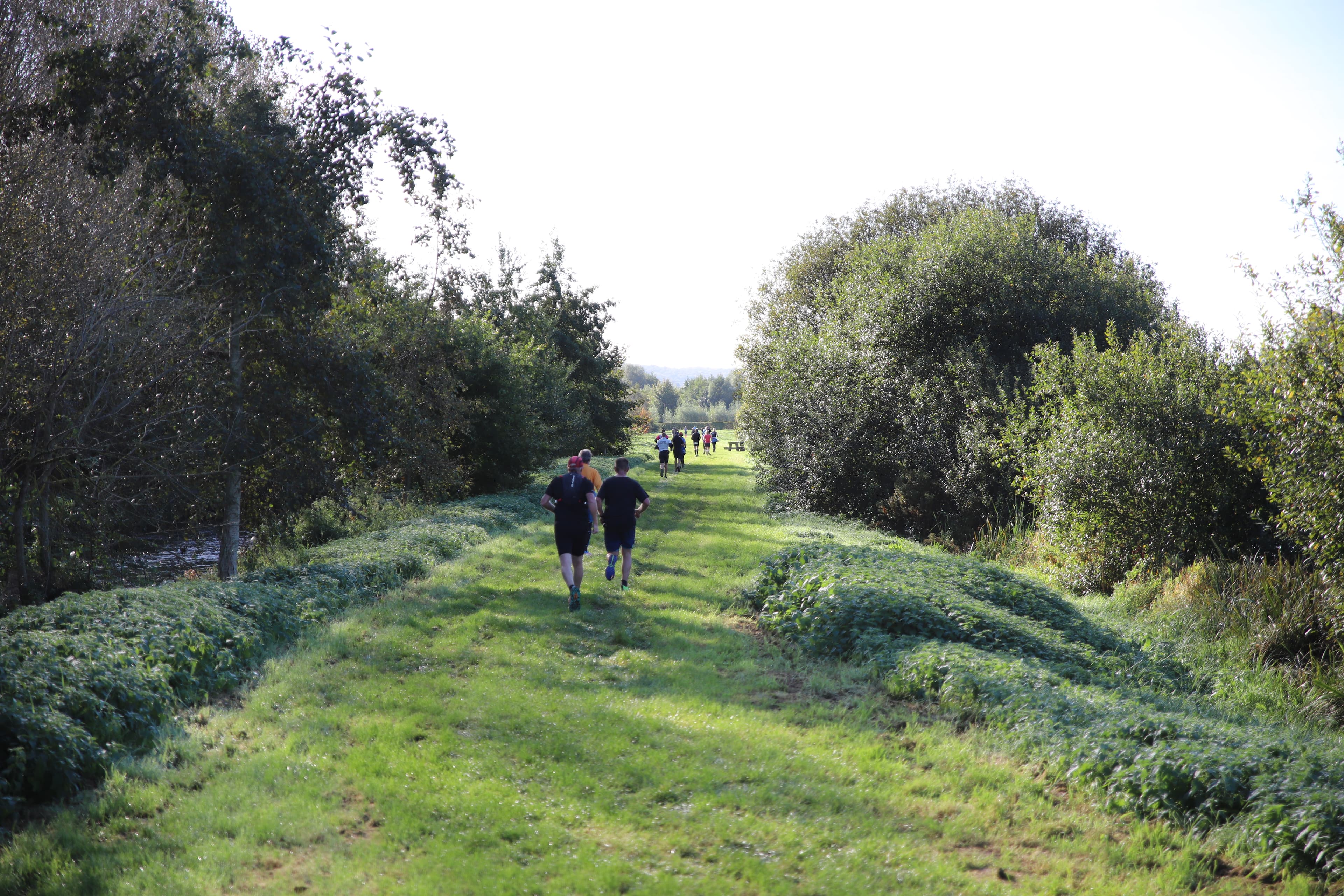 Trail des étangs - image